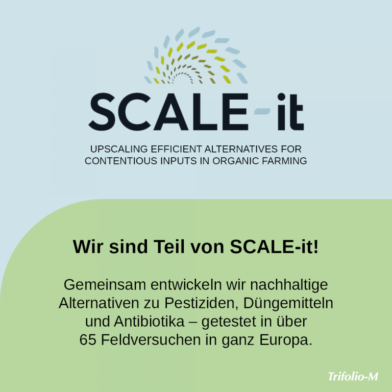 scale it post de