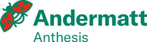 andermattanthesis logos