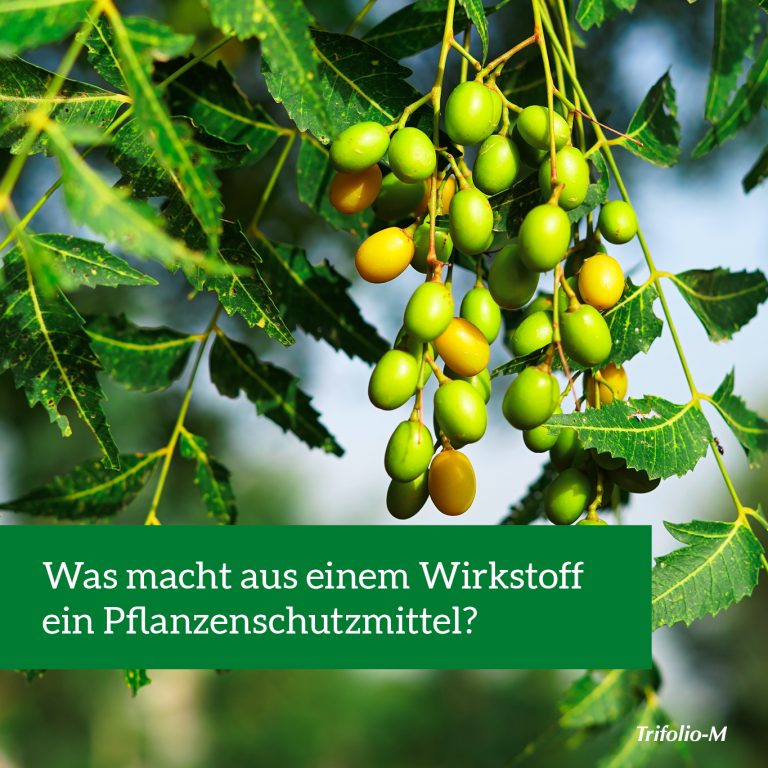 nats wirkstoff zu produkt de
