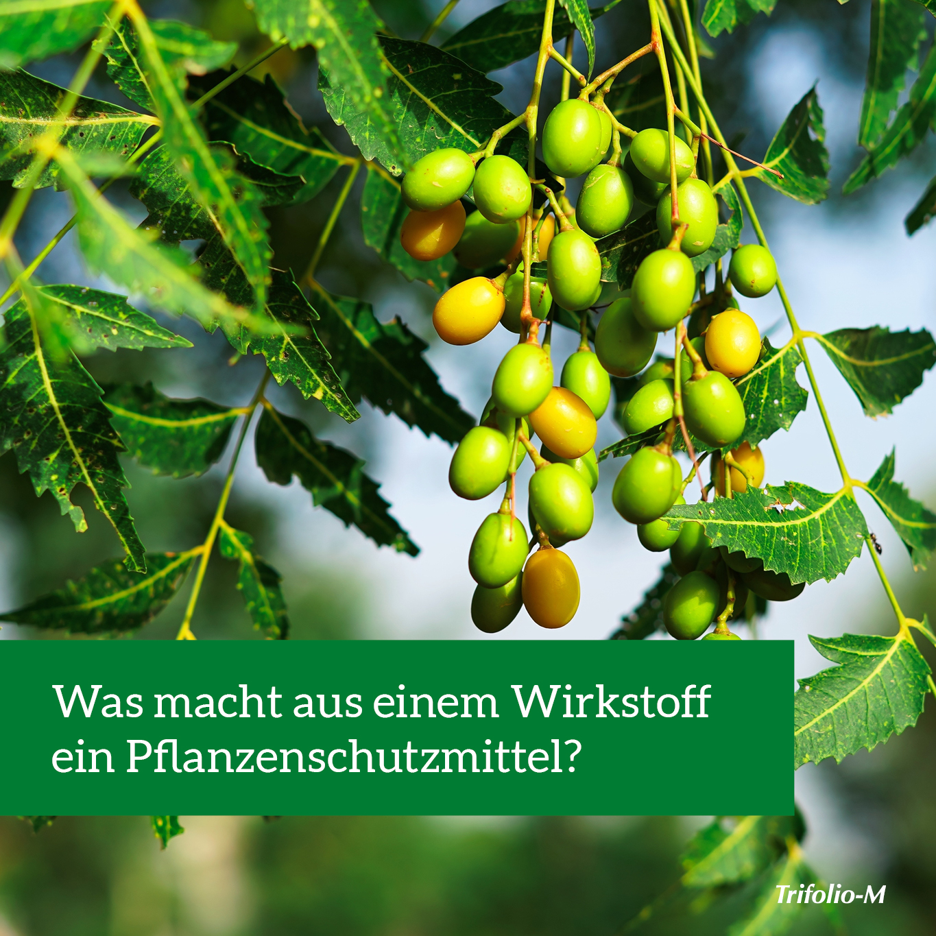nats wirkstoff zu produkt de
