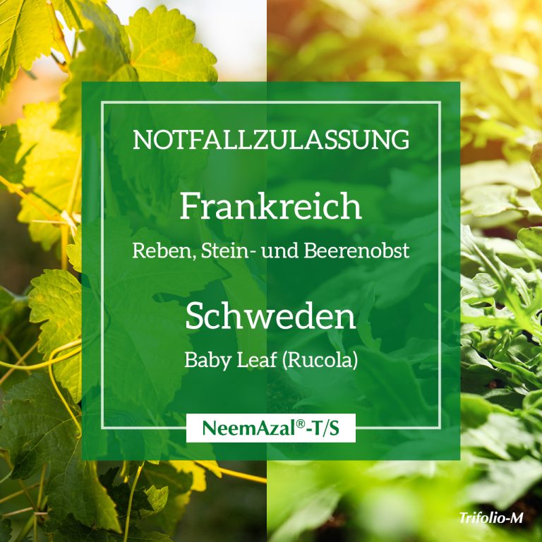 notfallzulassung frankreich schweden de