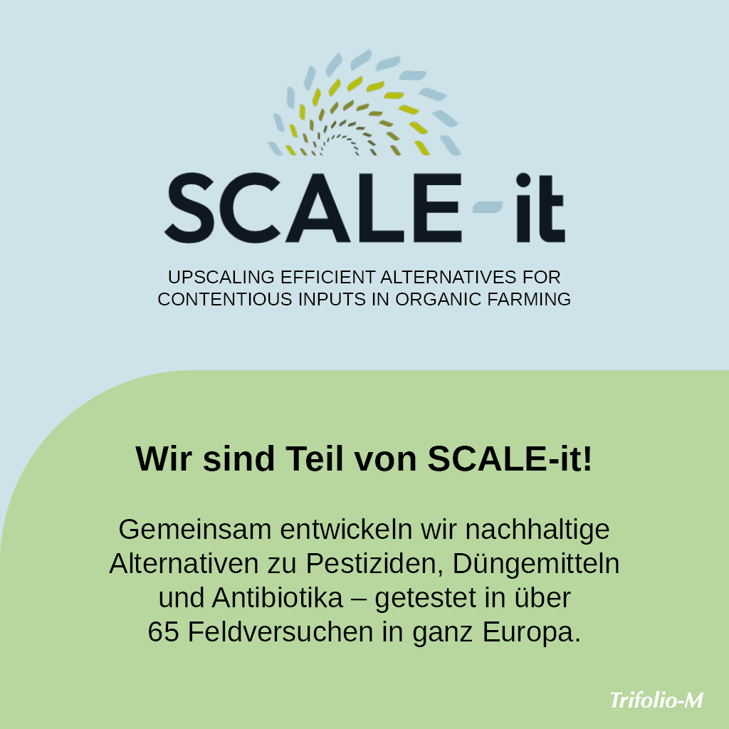 scale it post de
