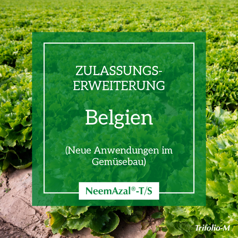 zulassungserweiterung belgien 2 de homepage