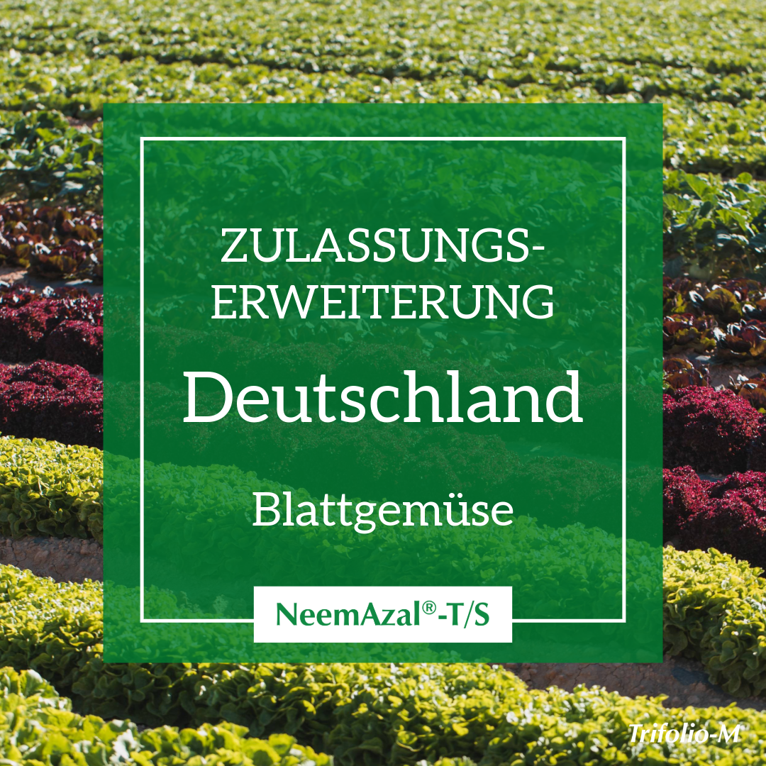zulassungserweiterung blattgemüse de