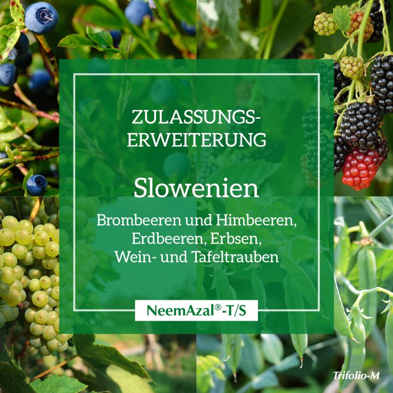 zulassungserweiterung si beerenobst wein tafeltrauben 2026 de