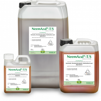 neemazal ts neue etiketten schatten englisch